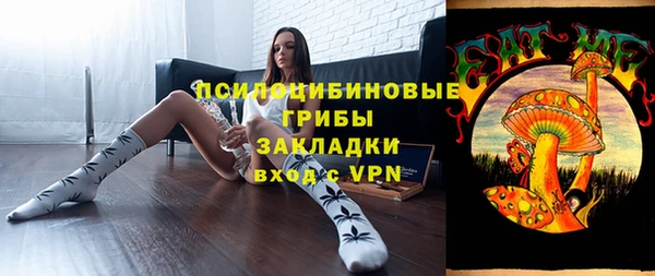 соль ск Липки