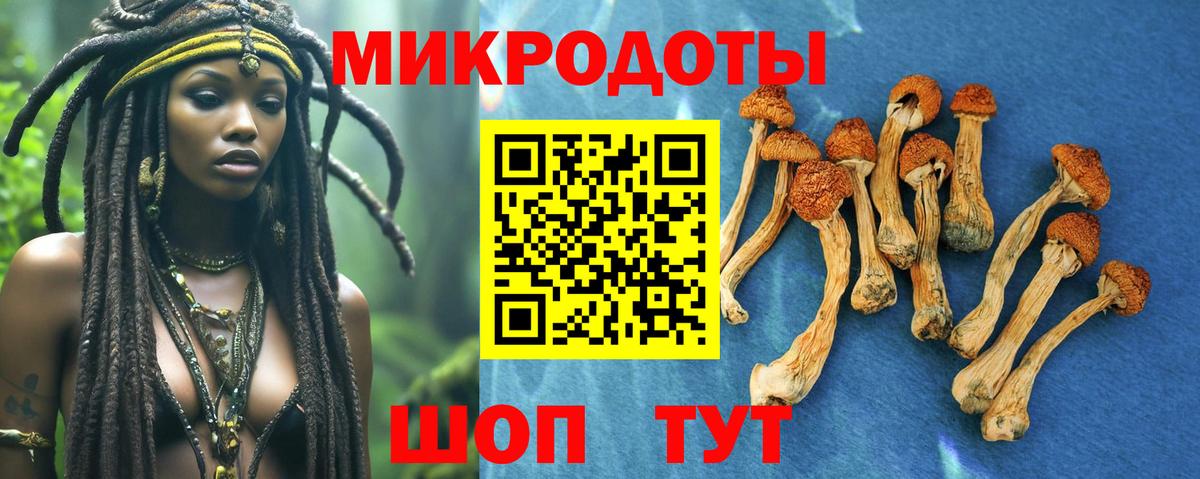 Псилоцибиновые грибы MAGIC MUSHROOMS  Псилоцибиновые грибы мицелий  магазин    Комсомольск-на-Амуре  Вход с VPN 